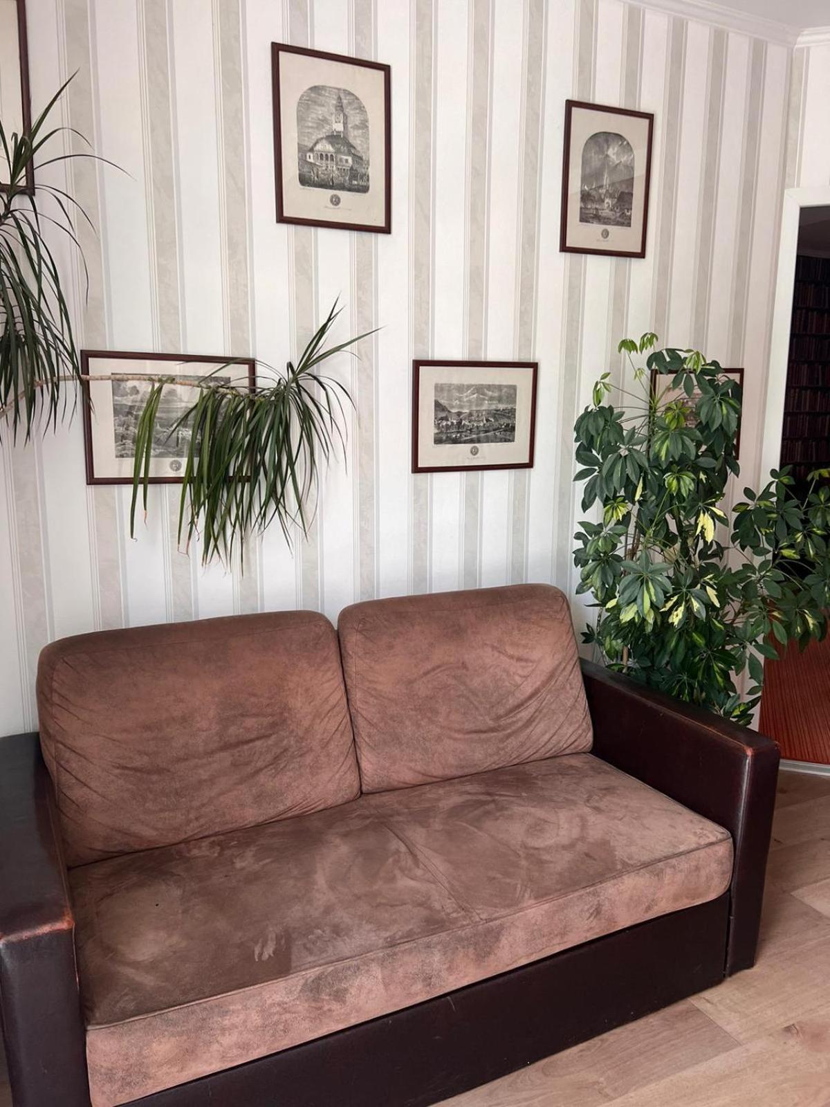 Pension Old City Брашов Экстерьер фото
